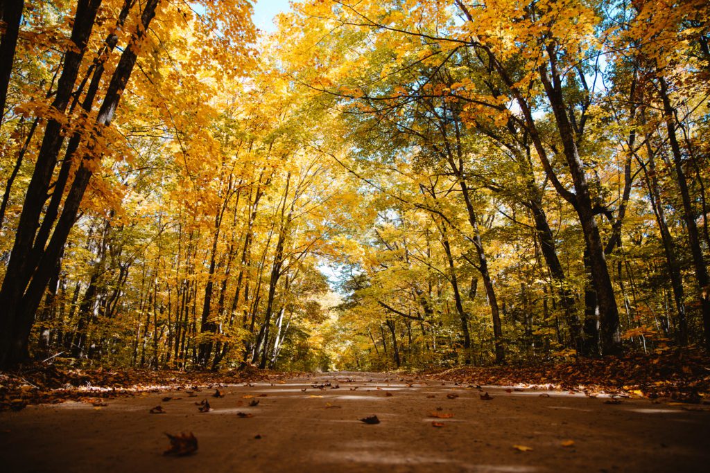 fall in the upper peninsula walking trail during the fall