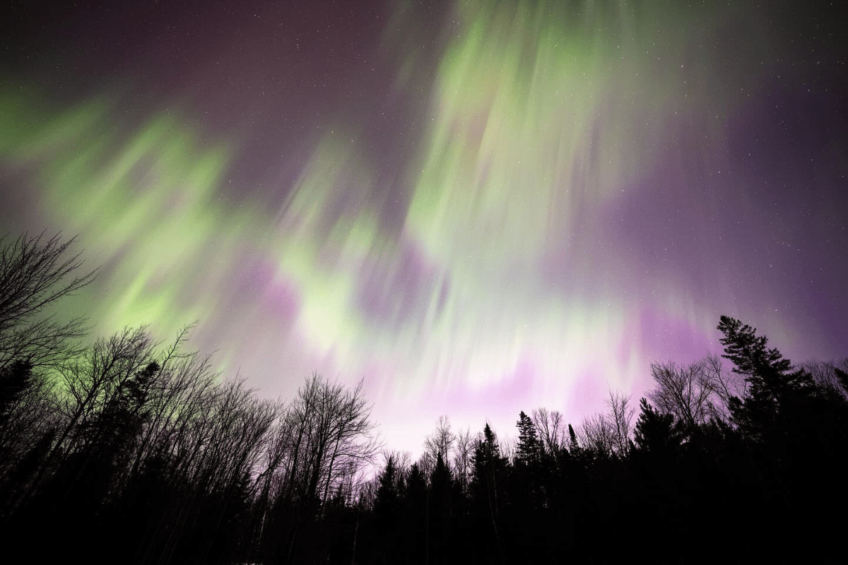 Vishnu Chander Northern Lights 1